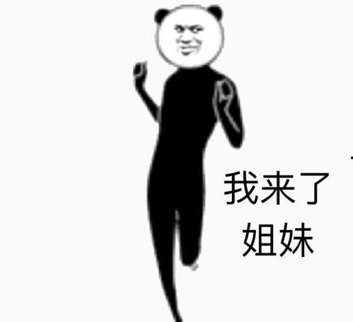 走就走的表情包